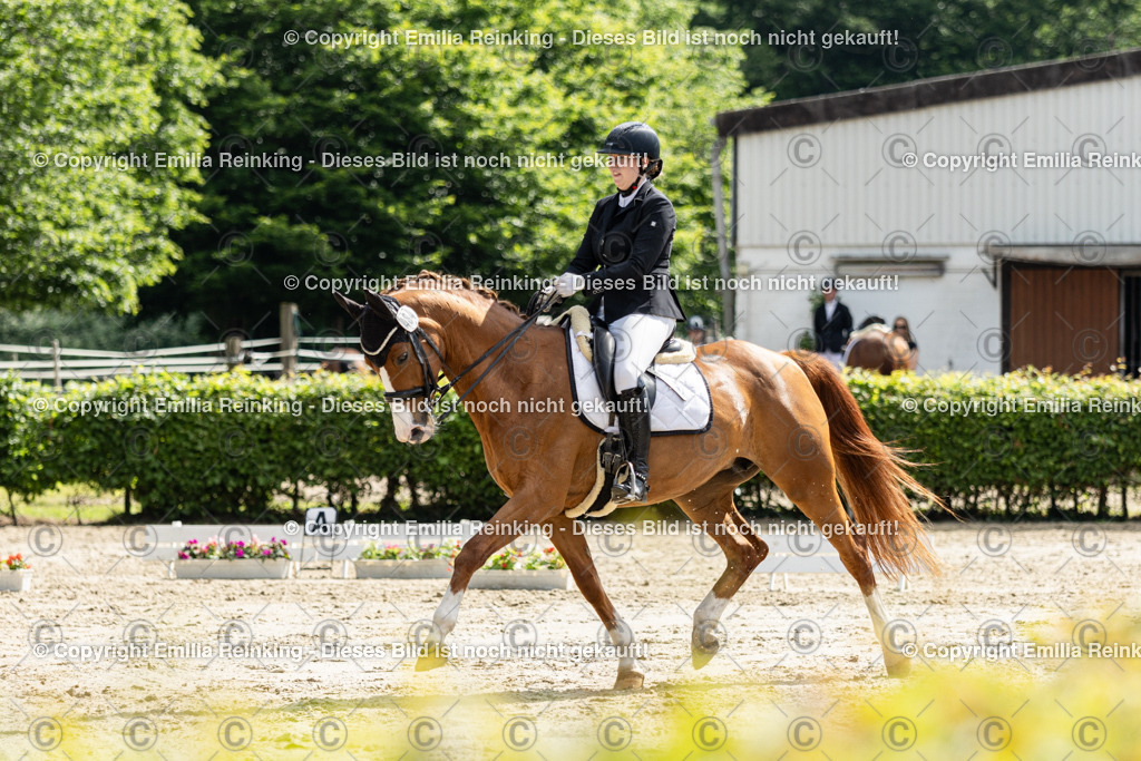 CL5A7640 | Emilia Reinking Fotografie - Realisiert mit Pictrs.com