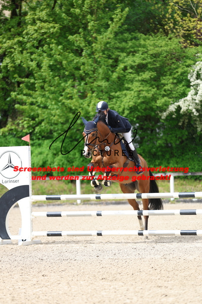 A40A1455 | lmwpictures - Realisiert mit Pictrs.com