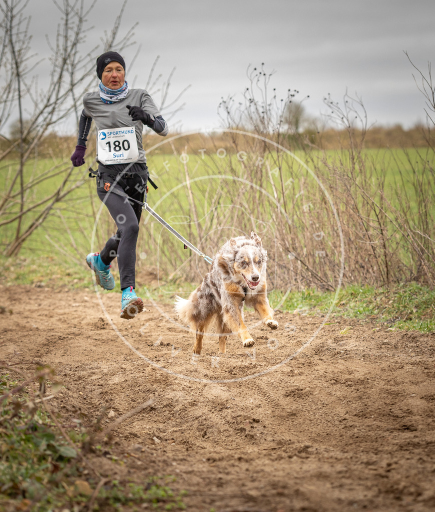 DV3A2096 | Hundefotografie, Tierfotograf, Pfotenfotografie, Fotoshooting Hund, Hunde Portrait, Hundesport, Hundeportraits, Heideshooting, Hunde, Sportfotograf, Hundefotograf, Turnierhundsport, THS,  - Realisiert mit Pictrs.com