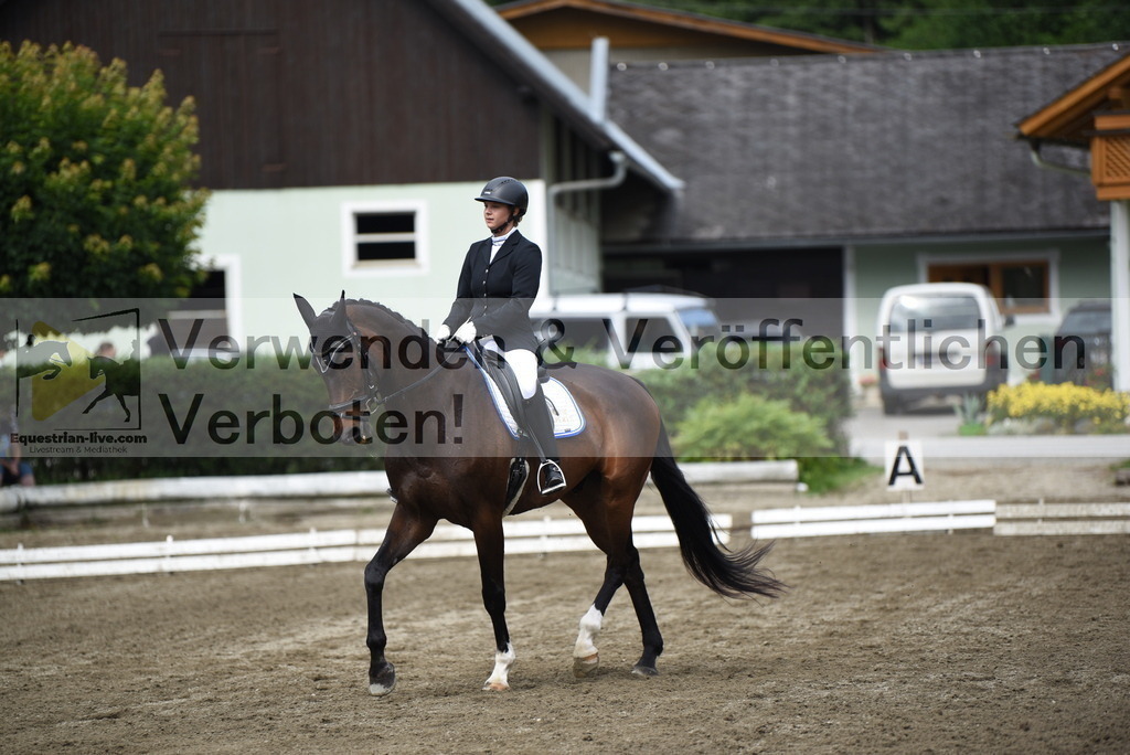 DSC_4448 | equestrian-live-com