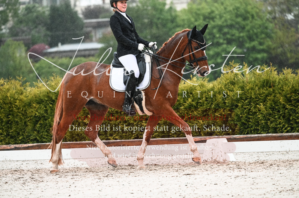 DSC_4624 | Pferde- und Turnierfotografie in Westsachsen. Pferdeportraits, Auftragszeichnungen und intuitive Kunst.