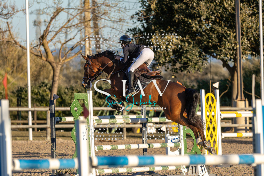 IMG_2917 | s-jay-photography - Realisiert mit Pictrs.com