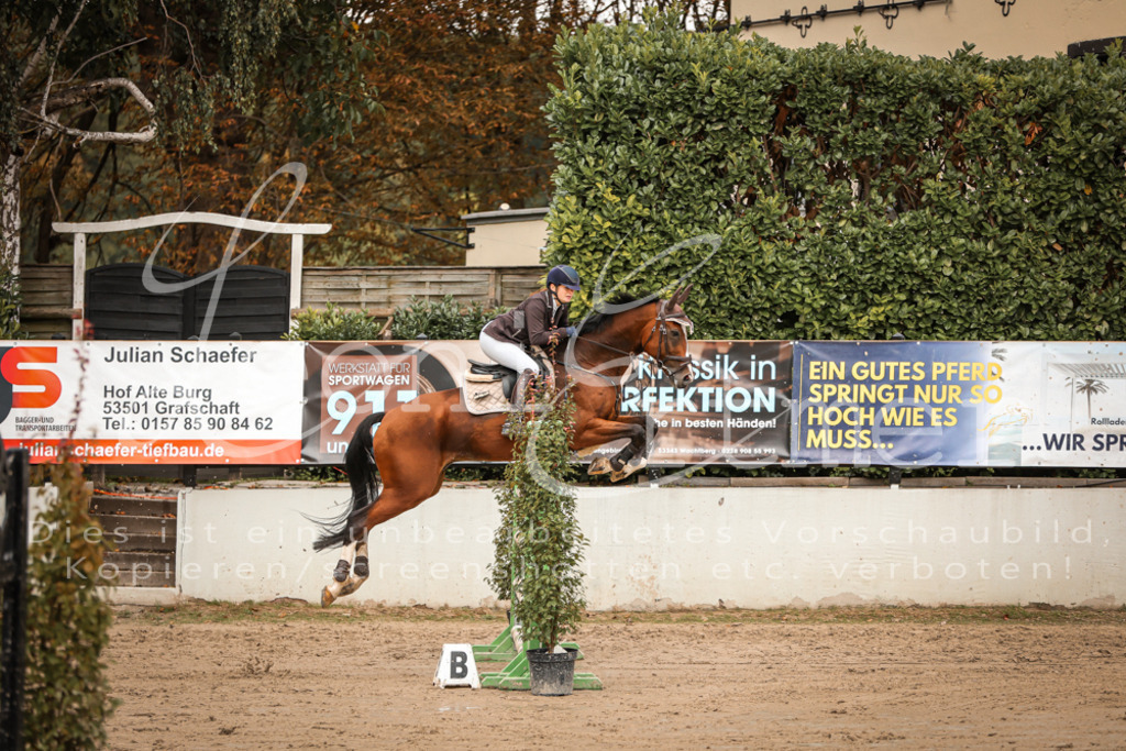 12.SaSpM00215 | Leoni Ertmer Photography - Realisiert mit Pictrs.com