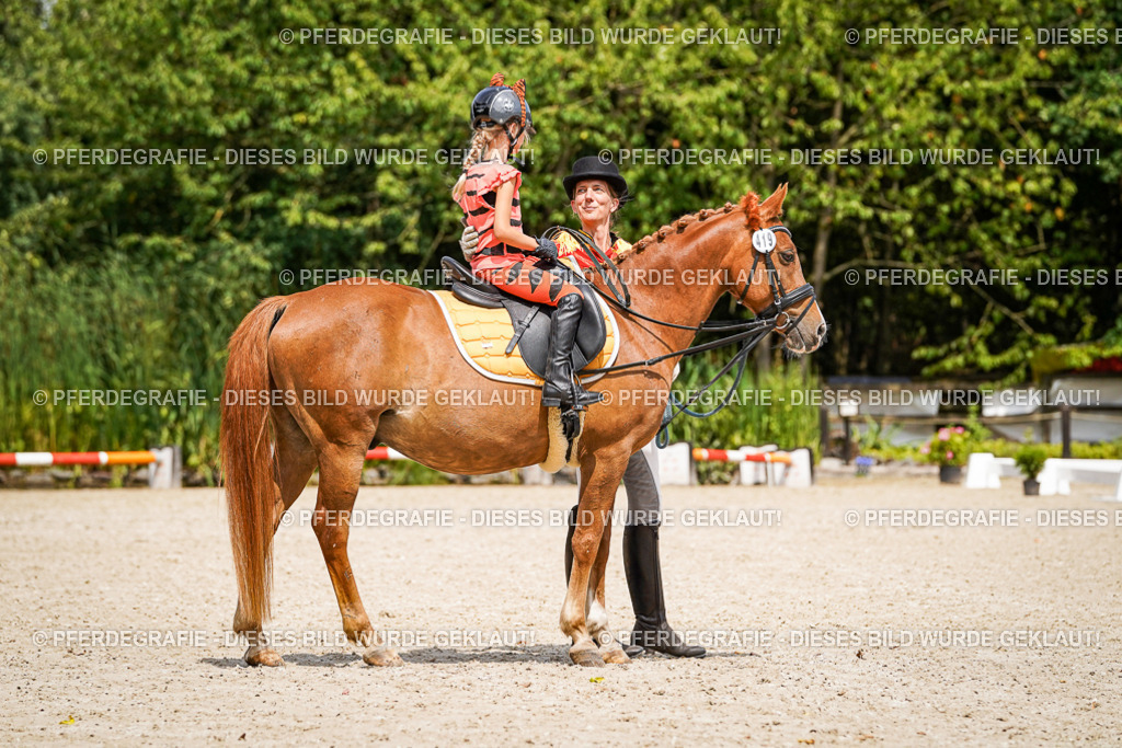 DSC02963 | Pferdegrafie