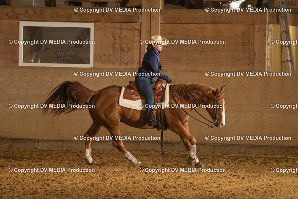 LAU00432 | dv-media-shop - Realisiert mit Pictrs.com