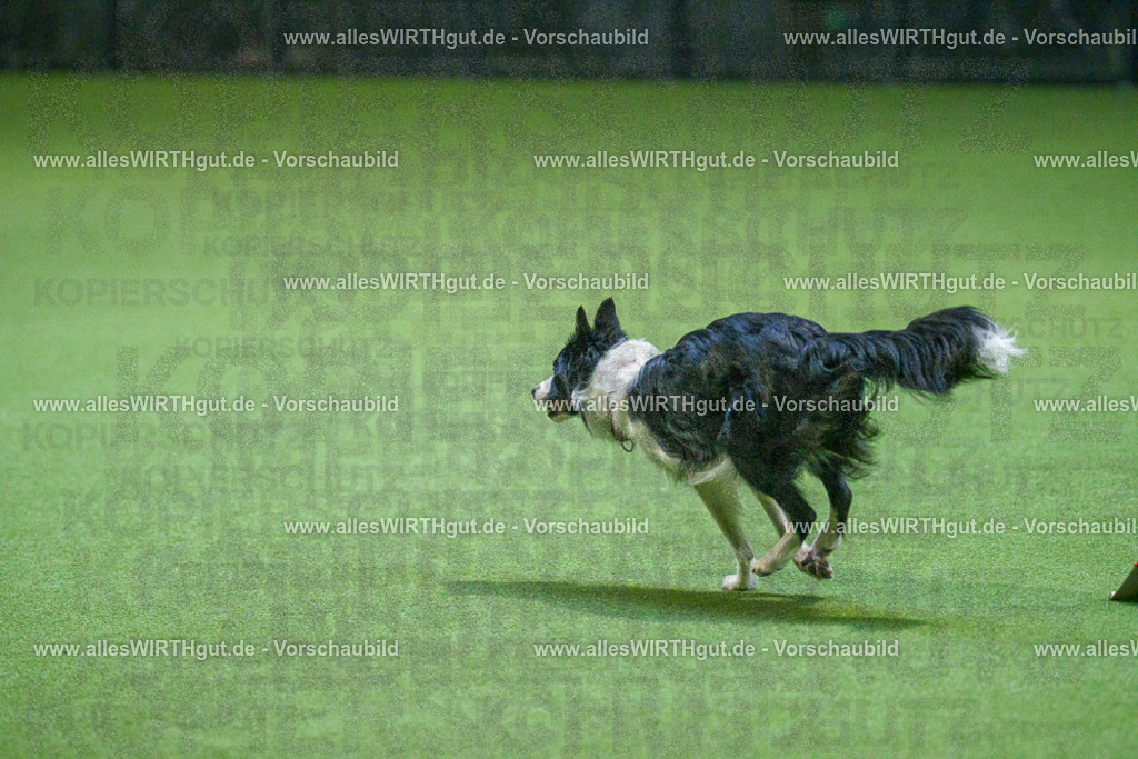 7R501029 | Professionelle Tierfotografie in Mönchengladbach von Daniel Wirth (allesWIRTHgut). Liebevolle & natürliche Bilder von Hunden & Katzen für unvergessliche Erinnerungen.