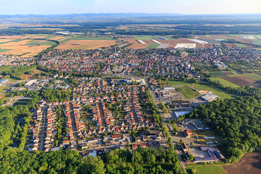 Luftbild: Siedlung Gartenstadt aus Süden in Kandel im Bundesland Rheinland-Pfalz in Deutschland. Foto: IMG_120664.jpg vom 03.05.2020 durch Werner Riehm/FLY-FOTO.de