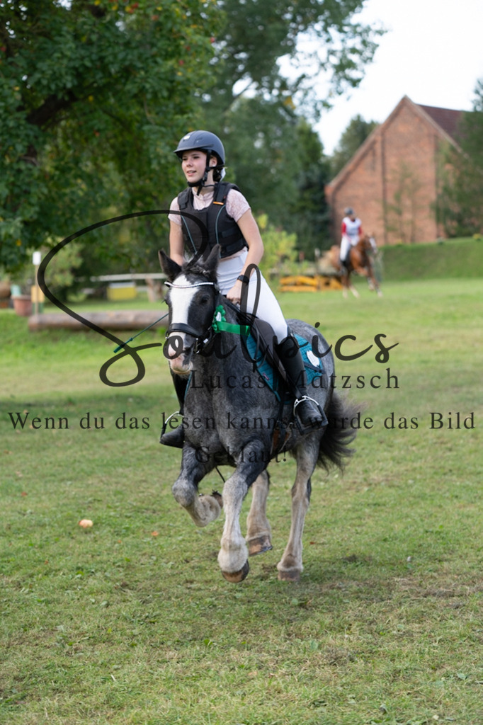 A7V03193 | Turnier/Reitfotograf