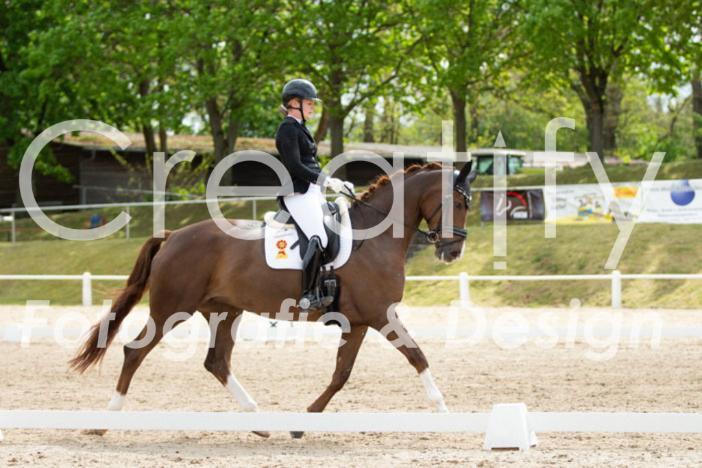 IMG_2278 | Creatify Fotografie