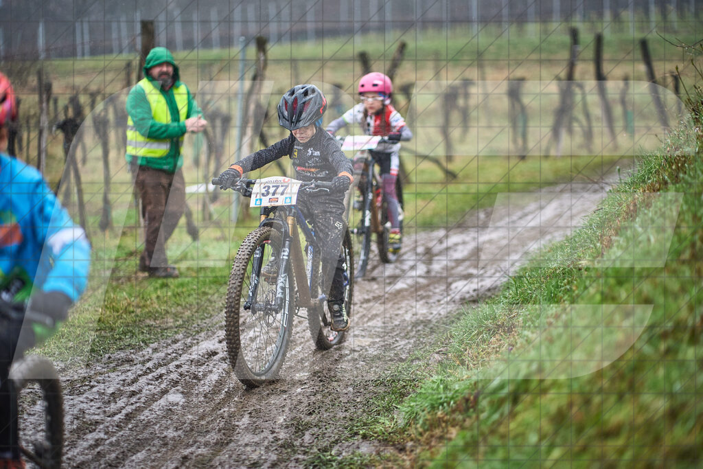 33. KTM Kamptal Trophy | 29.03.2025: 33. KTM Kamptal Trophy in Zöbing, Niederösterreich, ÖsterreichFoto: © 2025 Martin Bihounek / martinbihounek.comInsta: @martinbihounekcomFB: @martinbihounekphotography