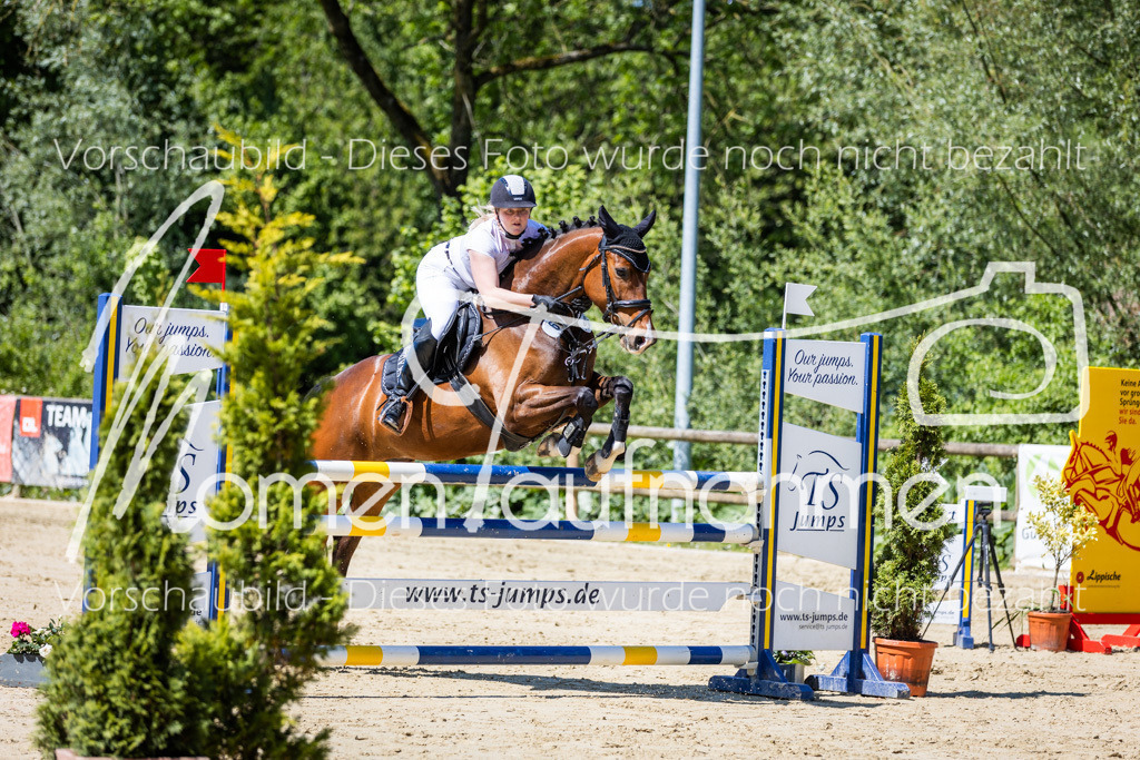 Donop24-L-Spr-032 | MomenTaufnahmen Pferdesportfotos