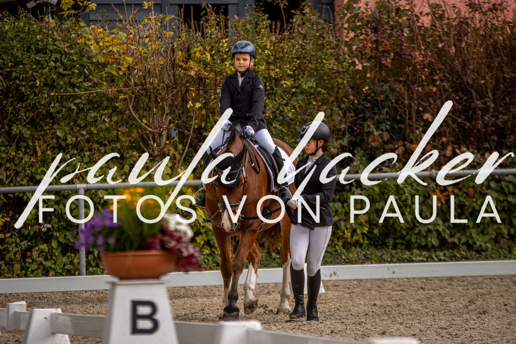 IMG_3849 | Erleben Sie dynamische Sport- und emotionale Tierfotografie in Süddeutschland mit Fotos von Paula. Spezialisiert auf Pferde- und Hundefotografie sowie Sportevents. Kontaktieren Sie mich für einzigartige und ausdrucksstarke Bilder Ihrer besonderen Momente.