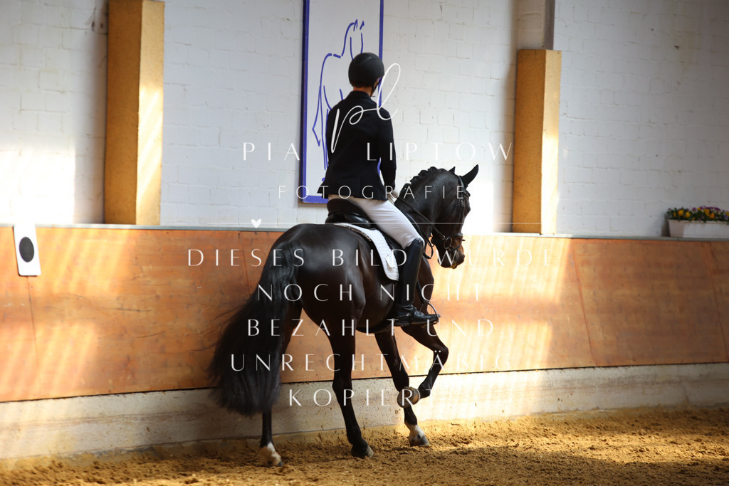 IMGT7593 | pl-fotografie