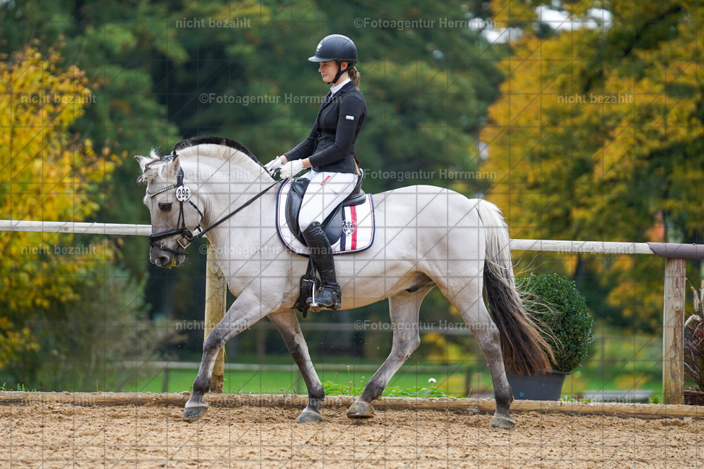 20221008-FAH01498 | Diessen am Ammersee, 2022, Dressur- und Springturnier, Reitsportbilder, Turnierfotografen Bayern, Pferdefotografen, Fotoagentur Herrmann, Turnierbilder
