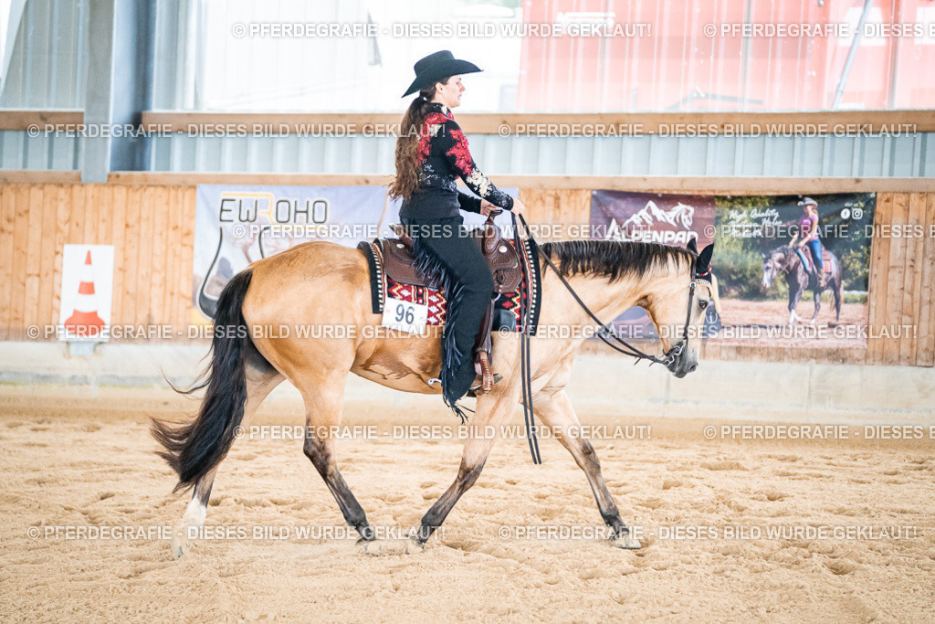 DSC01748 | Pferdegrafie