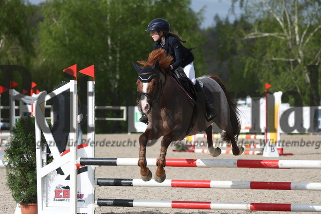 Birkhof_2023_Prüfung_Nr.08_Stilspring-WB_Valentina Walliser_Del Gardo 3 (4) | Alle Fotos der Reiterjournal Fotografin Doris Matthaes im Reiterjournal Online-Fotoshop. - Realisiert mit Pictrs.com