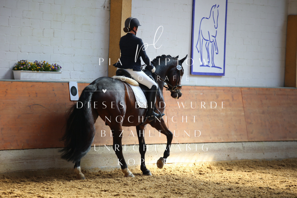 IMGT6901 | pl-fotografie