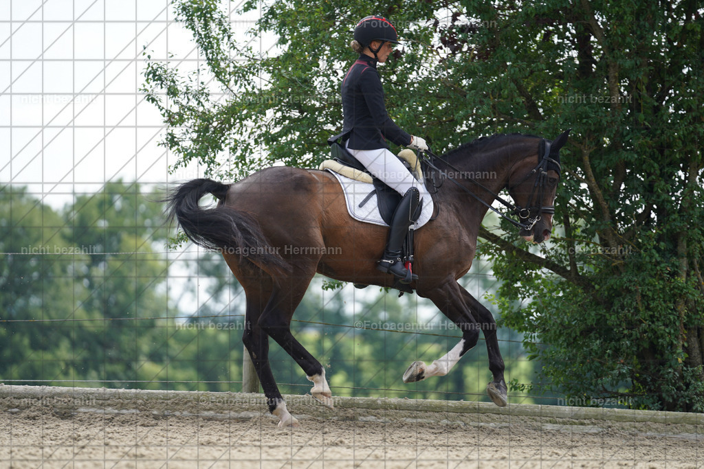 20230826-FAH06004 | Forstinning, 2023, Dressurturnier, Turniersportbilder, Turnierfotografen Bayern, Fotoagentur Herrmann, Reitsportfotografie, Turnierbilder