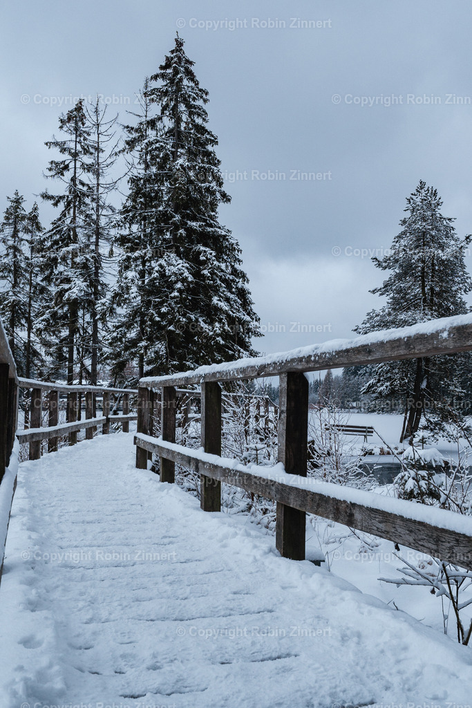 Fichtelsee_Winter00021 | Robin Zinnert - Realisiert mit Pictrs.com