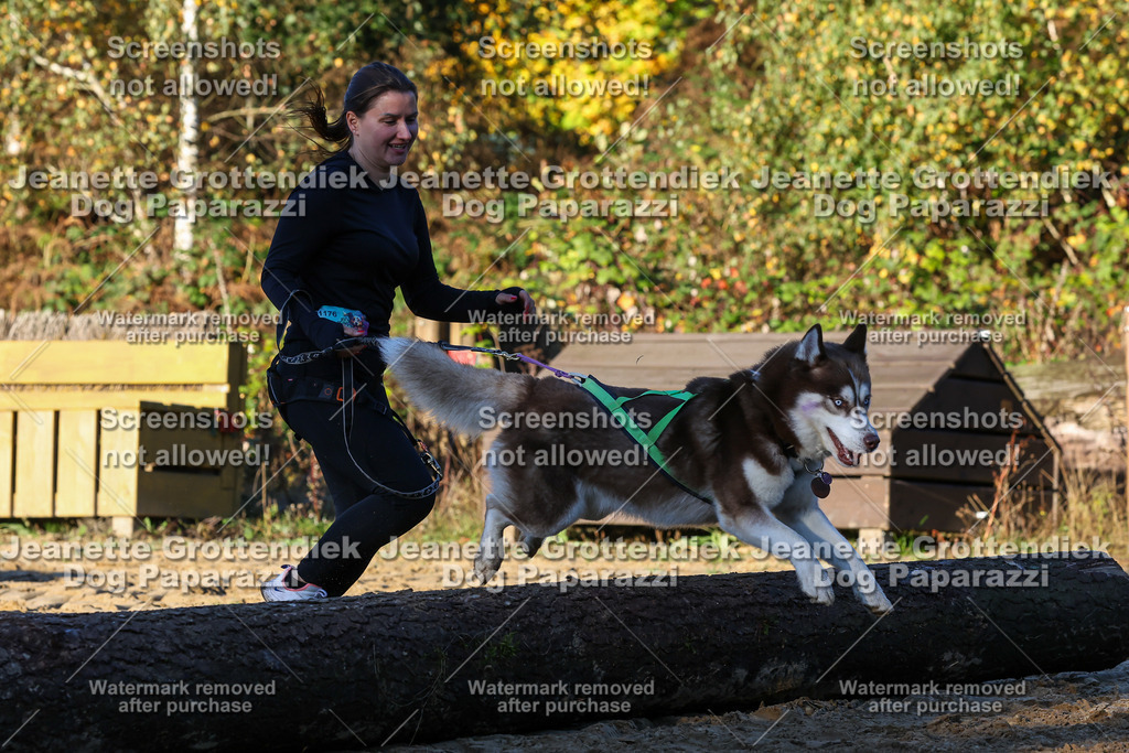 Dog Paparazzi - Strongdog 10-25-972 | Dog Paparazzi Jeanette Grottendiek Fotografie & Videografie - Realisiert mit Pictrs.com