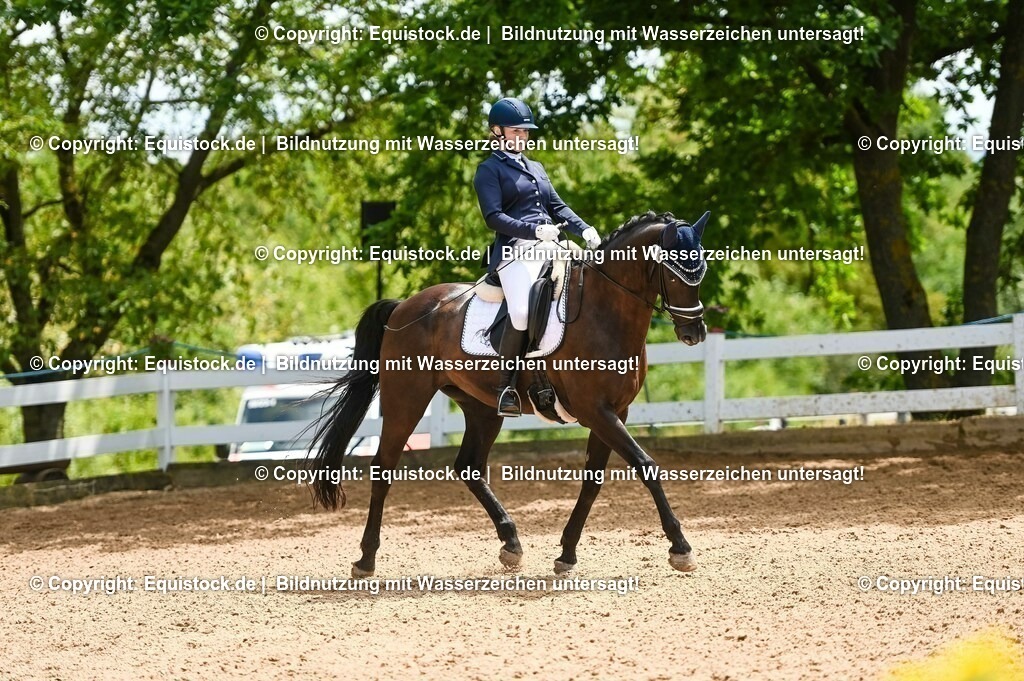 20230716_03_Dressurprfg. Kl.L - Tr._0596 | equistock