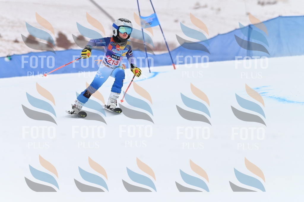 BGV_2607 | holidayphoto