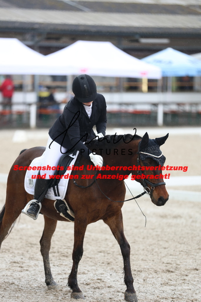 A40A8737 | lmwpictures - Realisiert mit Pictrs.com