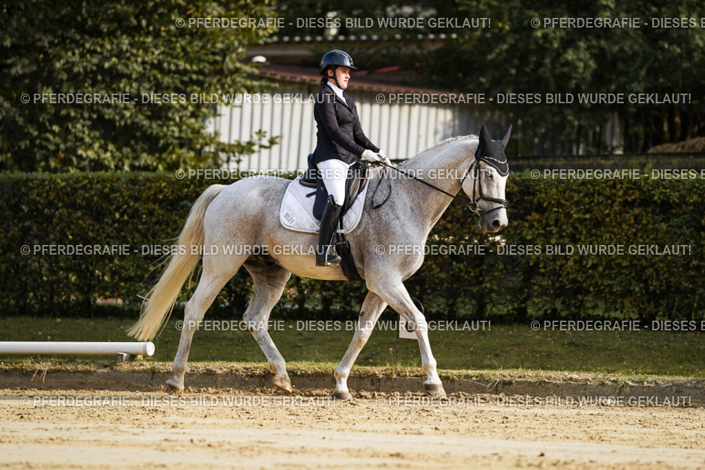 DSC05628 | Pferdegrafie