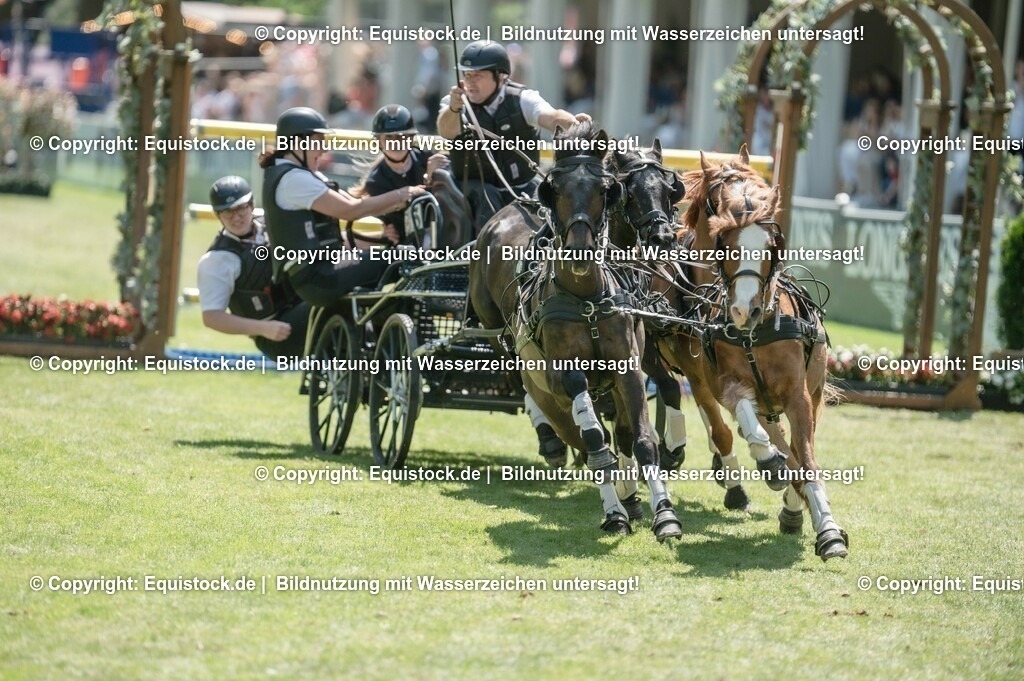 DSC_0437 | equistock