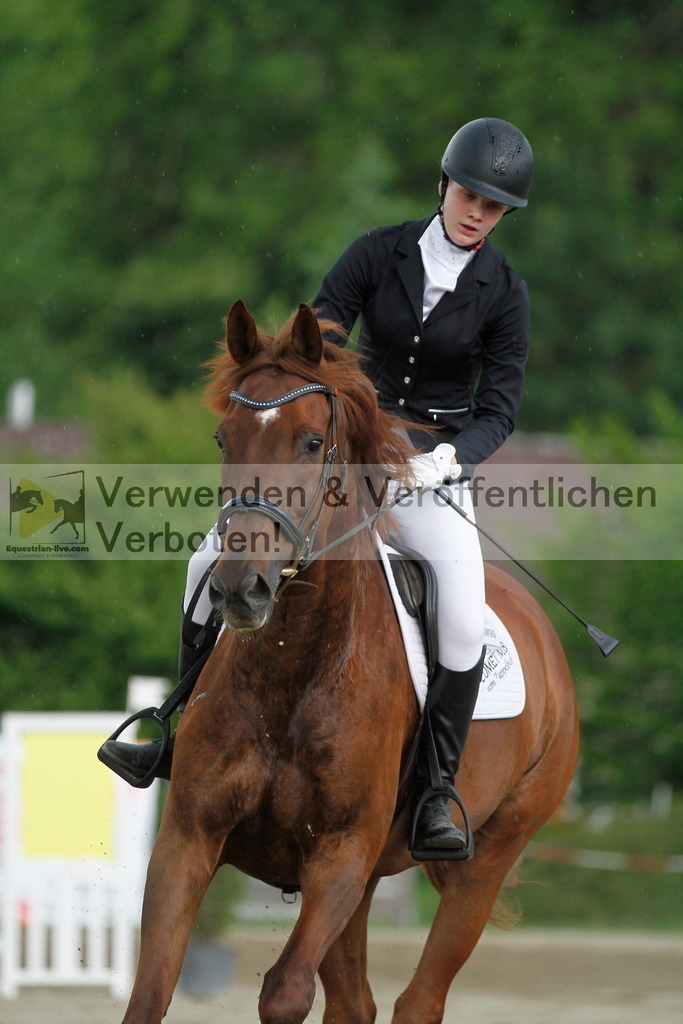 _MG_6526 | equestrian-live-com