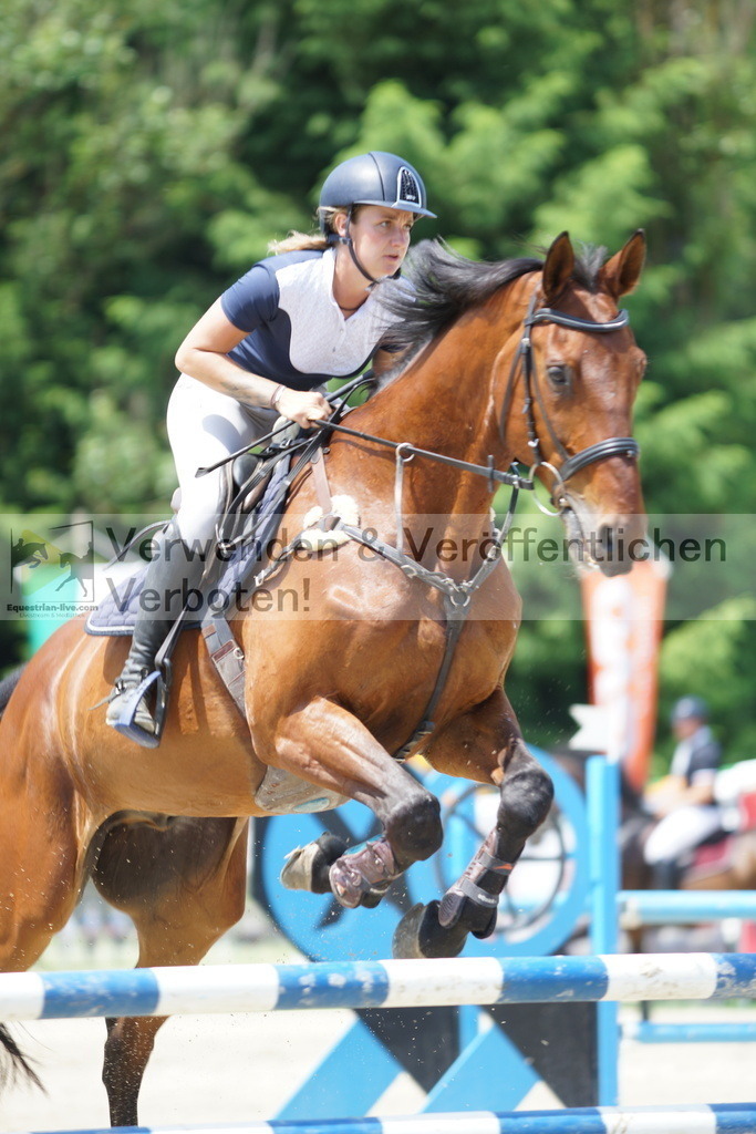 DSC00626 | equestrian-live-com