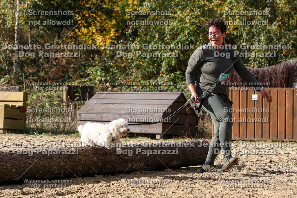 Dog Paparazzi - Strongdog 10-25-5559 | Dog Paparazzi Jeanette Grottendiek Fotografie & Videografie - Realisiert mit Pictrs.com