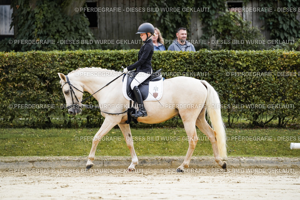 DSC05102 | Pferdegrafie