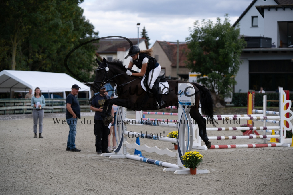 A7V07770 | Turnier/Reitfotograf