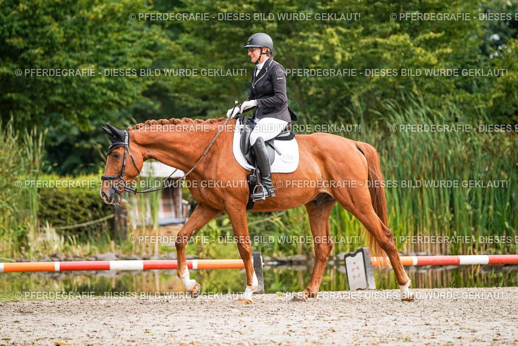 DSC00290 | Pferdegrafie