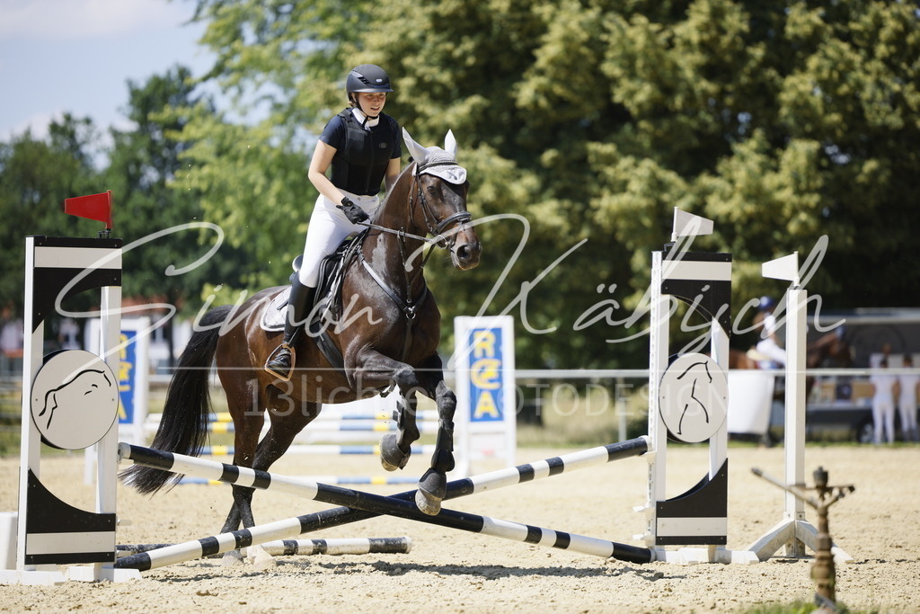 _3LI3624 | Tierfotografie Pferde, Hunde, Katzen, Haustiere.
Turnierfotografie Reitturniere, Reiten, Springreiten, Dressur in Hanau, dem Main-Kinzig-Kreis und dem Rhein-Main- Gebiet um Frankfurt