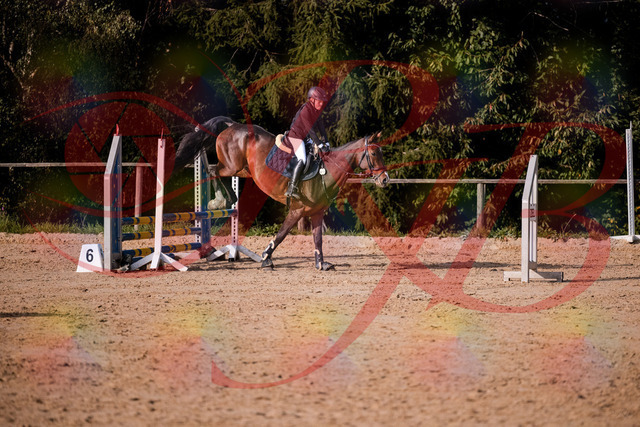 2026_10_03_Siefer-Hof_160007_Z81_80652131 | Professionelle Reitsport-, Turnier- und Eventfotografie von Robert Broda. Galerien mit ausgewählten und bearbeiteten Bildern direkt online ansehen und bestellen.