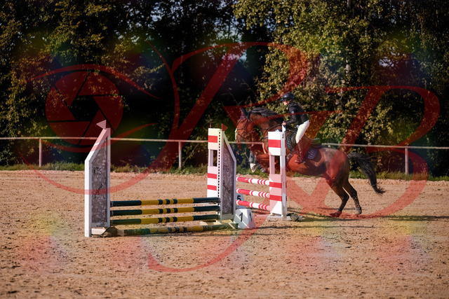 2026_10_03_Siefer-Hof_154659_Z81_66080674 | Professionelle Reitsport-, Turnier- und Eventfotografie von Robert Broda. Galerien mit ausgewählten und bearbeiteten Bildern direkt online ansehen und bestellen.