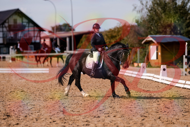 2026_10_03_Siefer-Hof_131850_Z81_66868827 | Professionelle Reitsport-, Turnier- und Eventfotografie von Robert Broda. Galerien mit ausgewählten und bearbeiteten Bildern direkt online ansehen und bestellen.