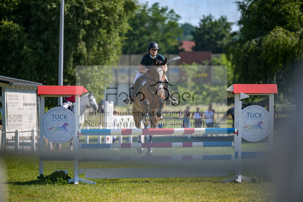 Reitturnier Voxtrup | Entdecke hochwertige Reitturnierfotos von Foto Oger. Professionell, emotional und authentisch – jetzt Lieblingsmomente im Shop bestellen.Deutschlandweite Turnierfotografie. - Realisiert mit Pictrs.com