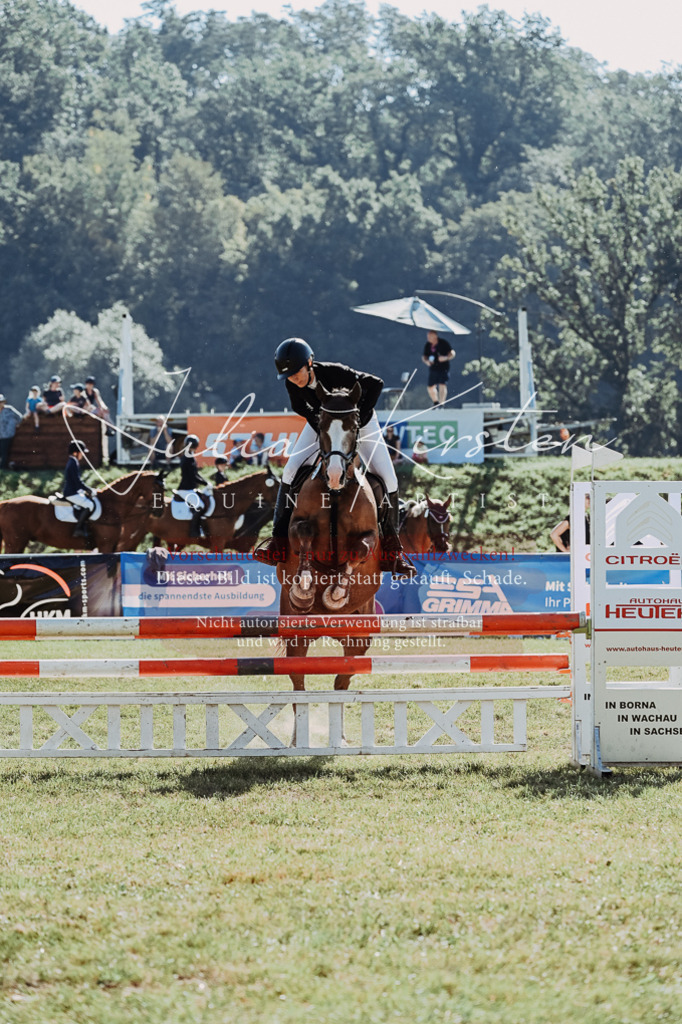 DSC_5404 | Pferde- und Turnierfotografie in Westsachsen. Pferdeportraits, Auftragszeichnungen und intuitive Kunst.