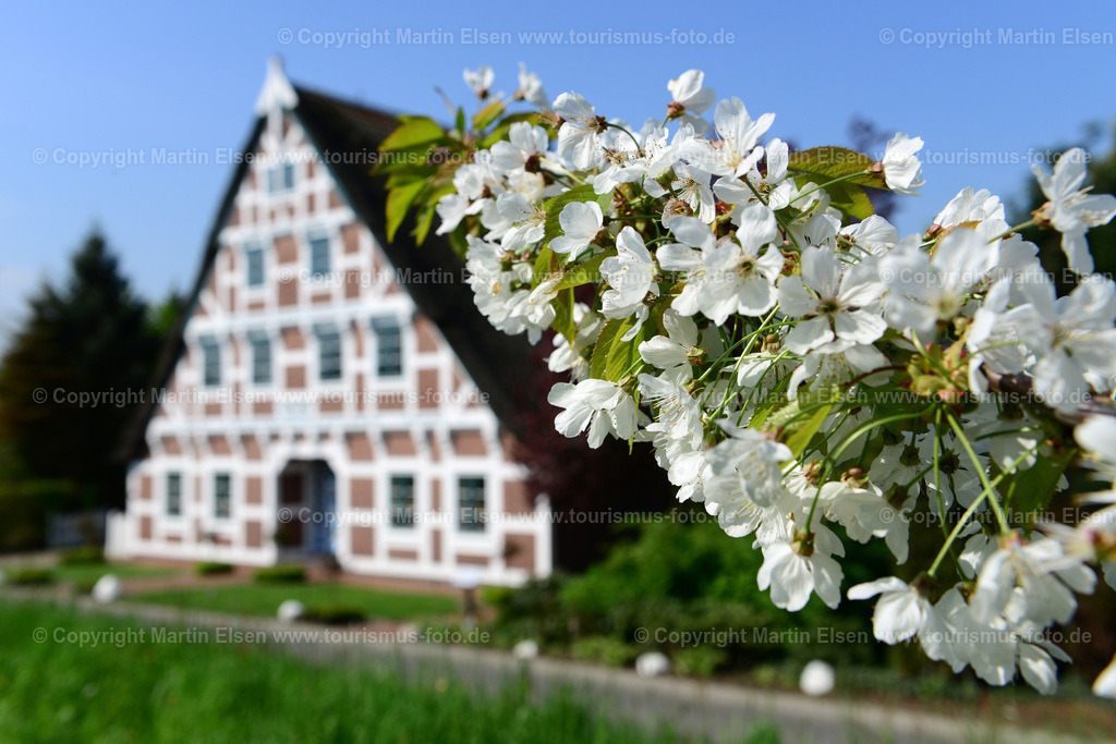 Steinkirchen Fachwerk Blüte_ELS_8283140501a | Altes Land - Aufnahmedatum: 26.04.2014, Aufnahmehöhe:  m, Koordinaten:  - , Bildgröße: 7360 x  4912 Pixel - Copyright 2014 by Martin Elsen, Kontakt: Tel.: +49 157 74581206, E-Mail: info@schoenes-foto.deSchlagwörter:Altes Land - Realisiert mit Pictrs.com