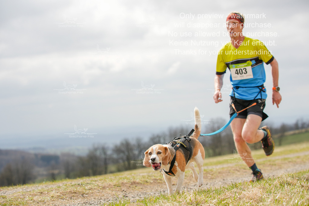 CaniXRunSA-41 | stephaniefillaphotographie - Realisiert mit Pictrs.com