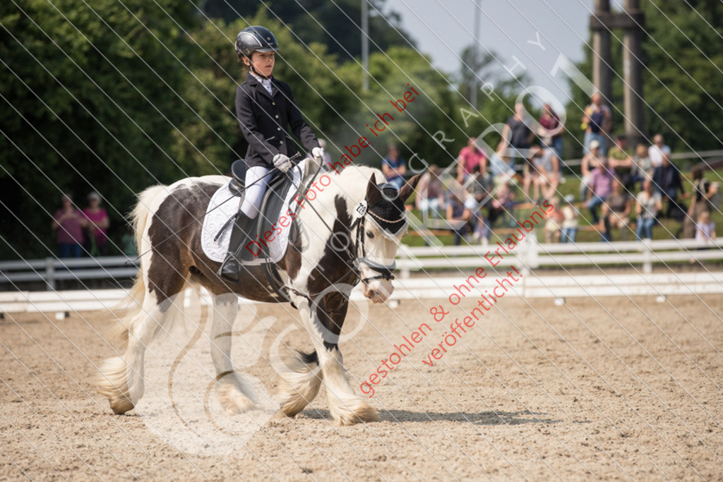 IMG_3314 | Sport-, Event- und Tierfotos in Profiqualität. Einfach auswählen, bestellen und herunterladen. Dein Moment – perfekt festgehalten.