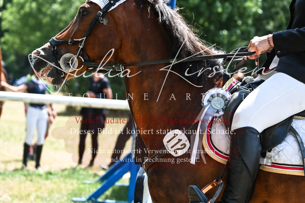 DSC_9528 | Pferde- und Turnierfotografie in Westsachsen. Pferdeportraits, Auftragszeichnungen und intuitive Kunst.