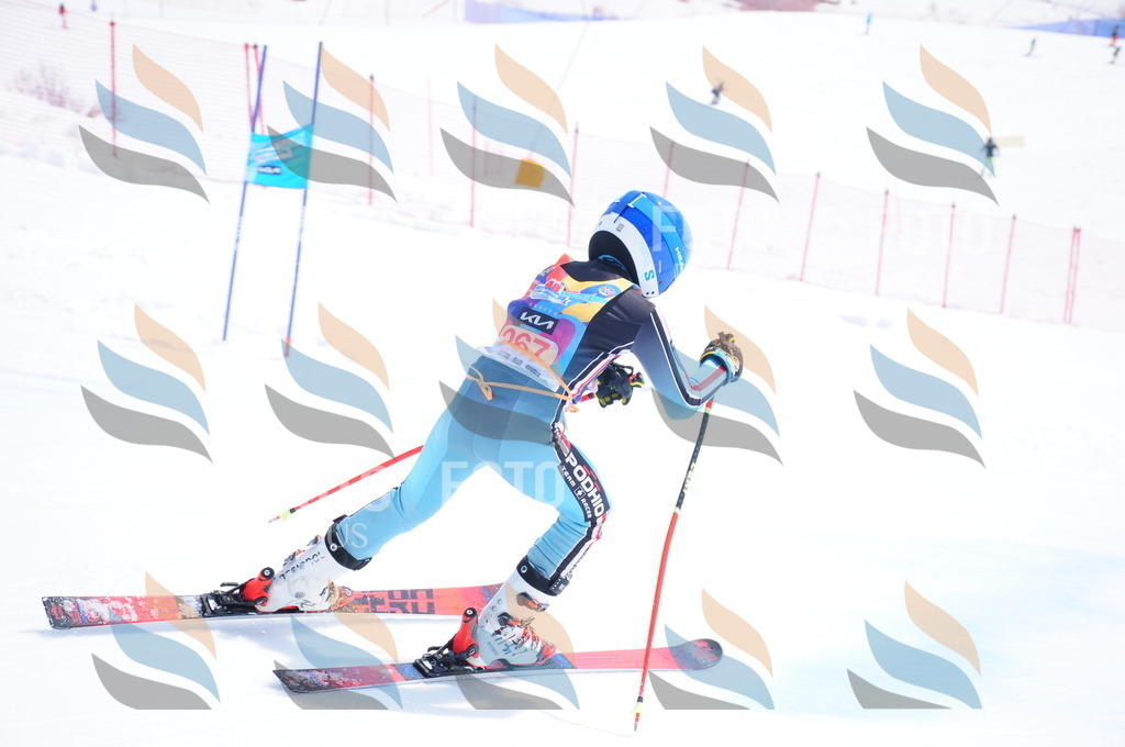 DSC_6388 | holidayphoto