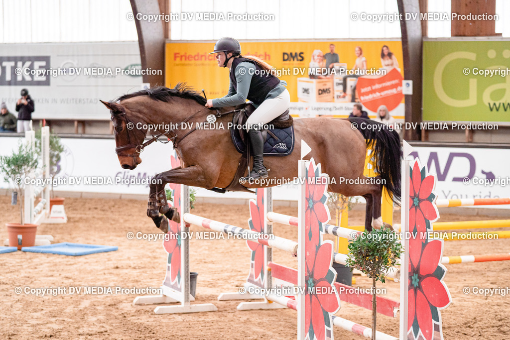 Kranichstein Tag 3-522 | dv-media-shop - Realisiert mit Pictrs.com