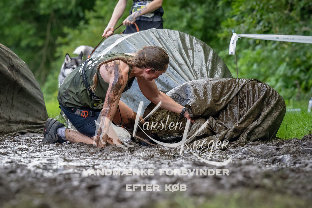 1156_ZZ90400-Bearbeitet | kk-dogfotos