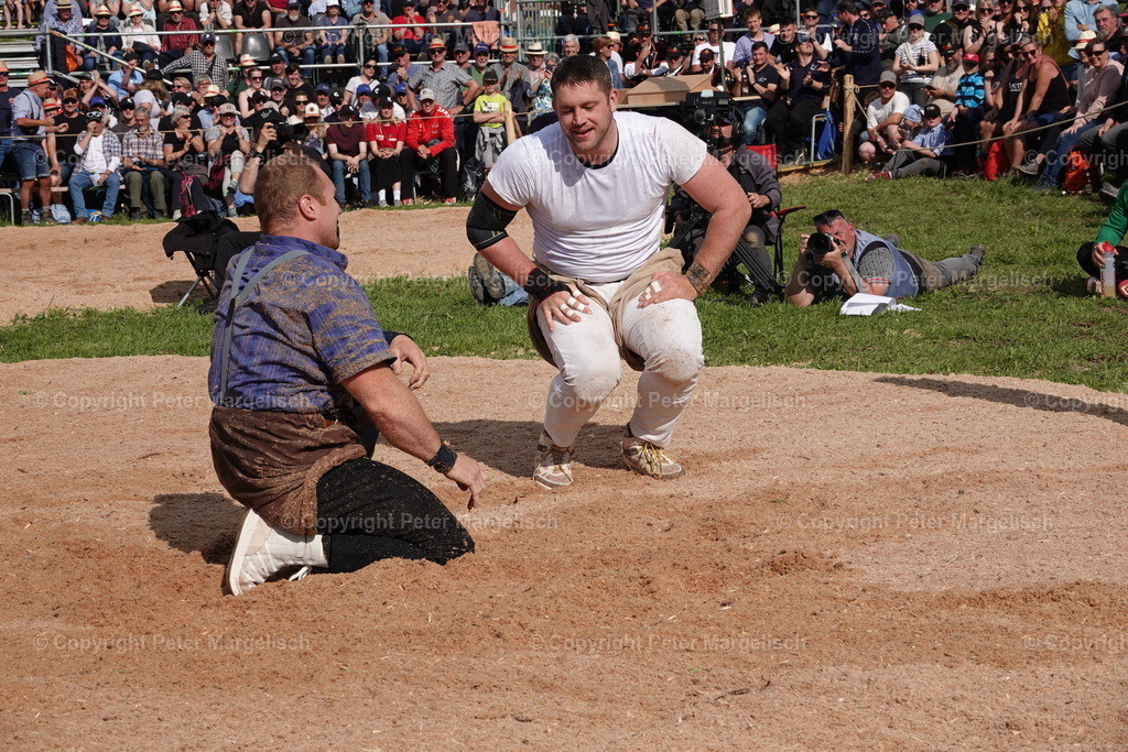 DSC01062 | Schwingen - Realisiert mit Pictrs.com