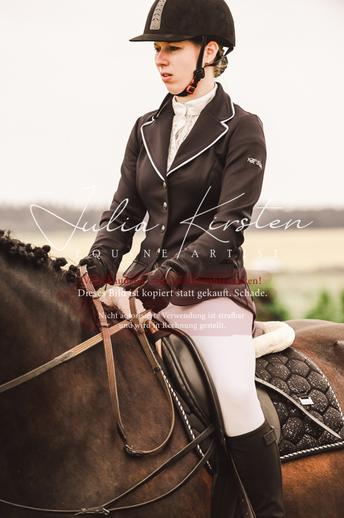 DSC_4956 | Pferde- und Turnierfotografie in Westsachsen. Pferdeportraits, Auftragszeichnungen und intuitive Kunst.